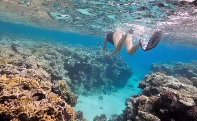 马来西亚五日游吉隆坡槟城仙本那,马来西亚仙本那和槟城哪个值得去