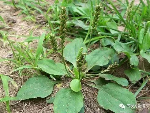 车到山前必有草,车到山前必有路山前山后都有