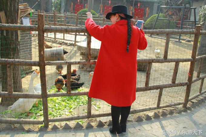 郑州思念果岭是森林公园吗,郑州思念果岭高尔夫球场