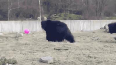 怎样偷偷亲女朋友,偷偷亲女生女生会生气吗