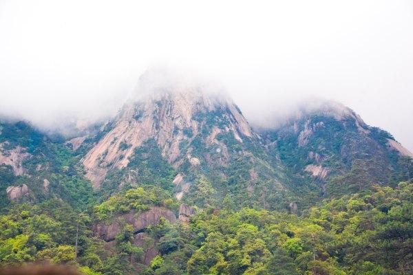 黄山四绝之一奇松介绍,黄山的四绝分别是奇松怪石