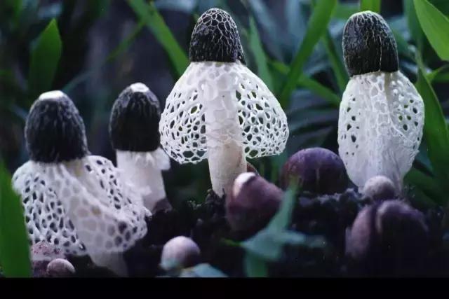 遵义旅游攻略美食特产带走,乐享遵义