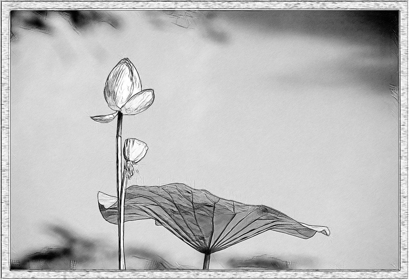 水光潋滟晴方好现代诗词,水光潋滟晴方好诗句