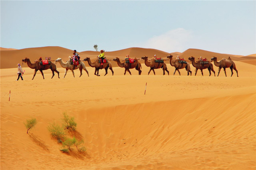 宁夏沙坡头旅游景区,关于宁夏沙坡头景点介绍