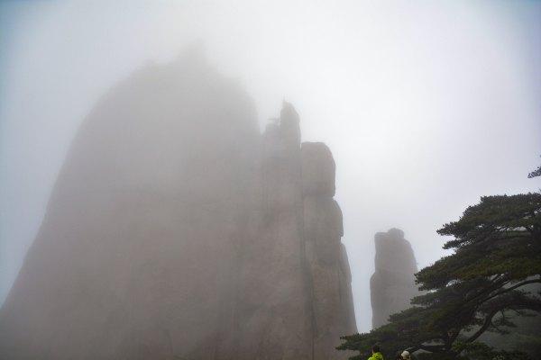 黄山四绝之一奇松介绍,黄山的四绝分别是奇松怪石