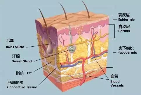 宝宝治疗痱子最快速有效的方法,痱子的处理