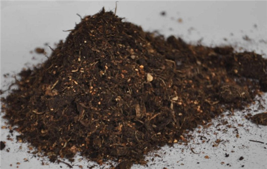 全营养土种的花容易死,养花的营养土可以直接种花吗