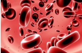 再障患者流鼻血怎么止血最快,再障贫血祖传秘方