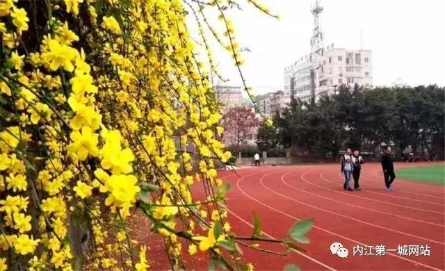 想穿校服,内江六中校服