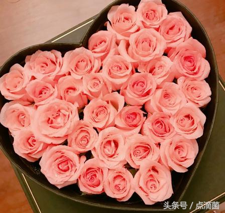 五五开给赵梦玥的老爸买的什么车,五五开给赵梦玥父亲送了什么车