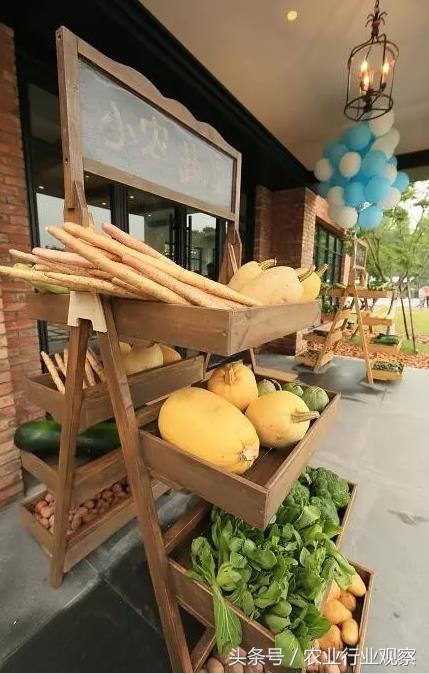 农场经营模式成功案例,农场经营模式和思路