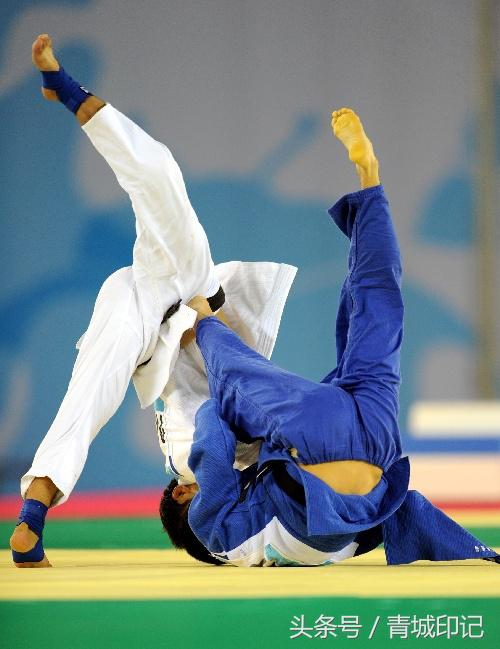 呼和浩特柔道大奖赛,全国柔道公开赛