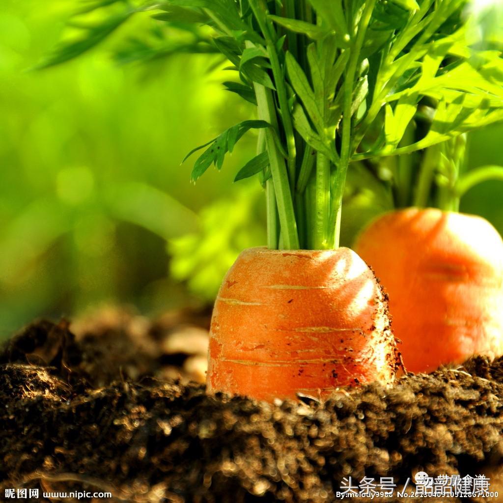 夏天来了要少吃什么,夏天千万别吃冰凉食物