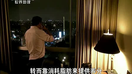 一起来看一下吧！流行欧美大陆，贝嫂、杨幂都在用的轻断食减肥法！