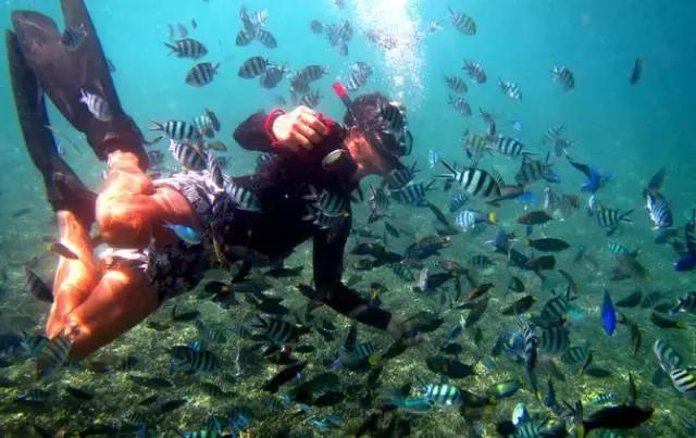 马来西亚五日游吉隆坡槟城仙本那,马来西亚仙本那和槟城哪个值得去