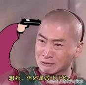 狗宝刚来家里的时候猫咪很生气，没想到后来它们居然合伙偷食吃！