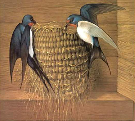 燕子筑巢对风水有影响吗,燕子筑巢与风水忌讳有哪些