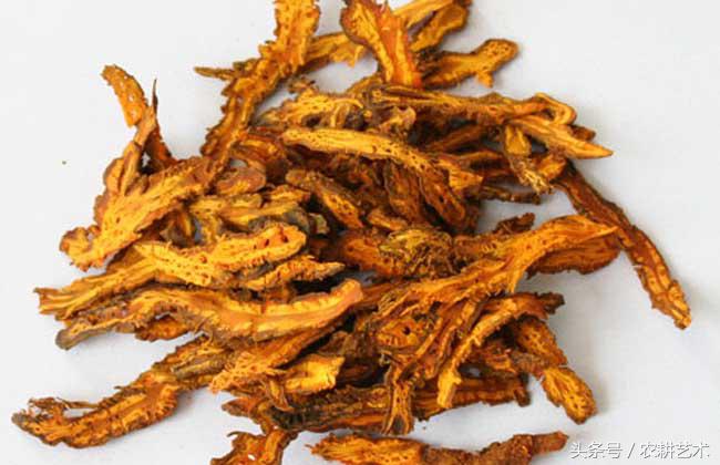 农村中草药图谱102种,农村中草药图谱全集