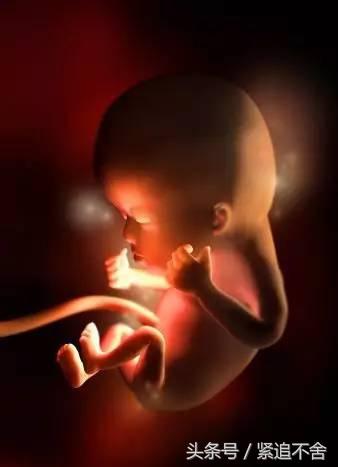 超萌龙凤胎宝宝图片,孕1到9周胎儿发育全过程