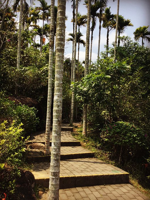 三亚呀诺达半天能玩完么,三亚旅游哪里吃海鲜最便宜