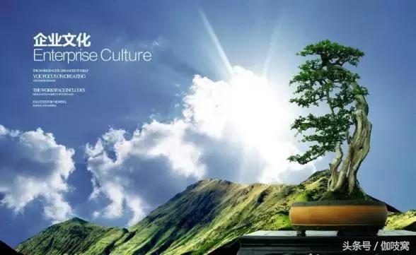 从a到z你选什么,从a到z的蜕变