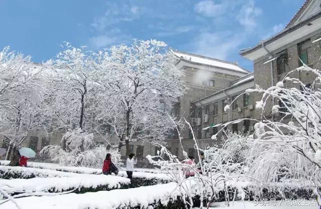 歪，别的小朋友都了解山师了，你要不要看一下呀？