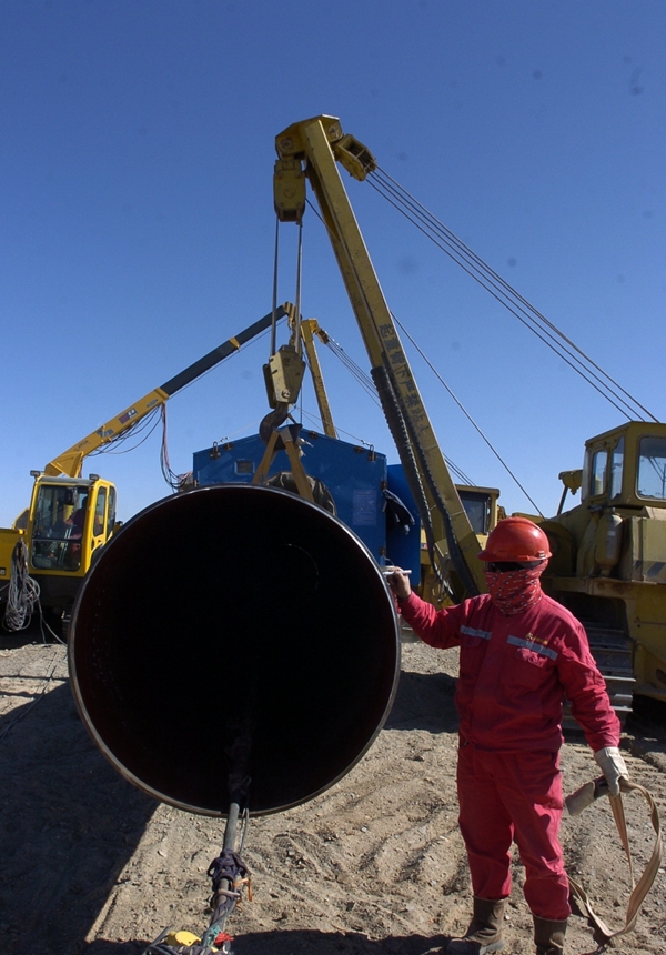 每日花语蔡依林,每日花语腊梅花