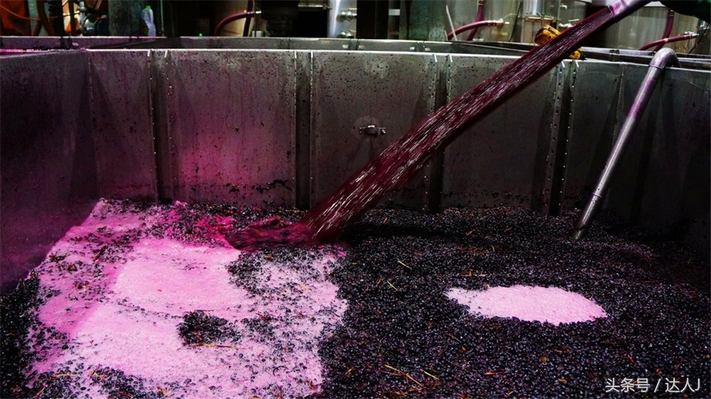 澳洲阿德莱德vs悉尼fc,阿德莱德对澳洲悉尼