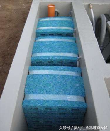 庭院鱼池建造视频大全,庭院鱼池实用效果图