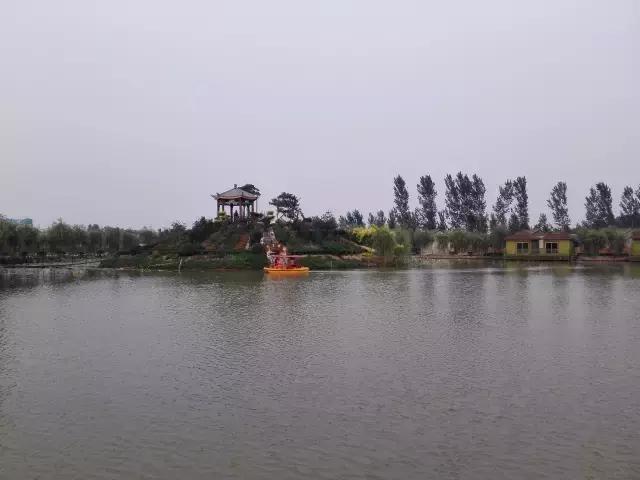 香河一日游看荷花,周边自驾游荷花