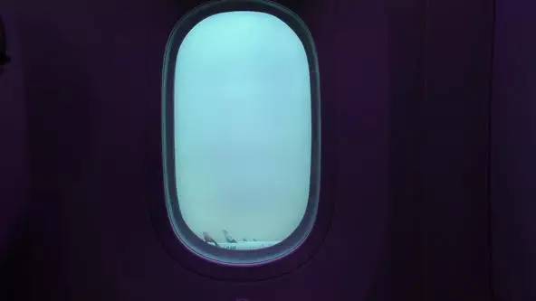 飞翔的新西兰人：这群人把10+小时的航班变成了一种乐趣