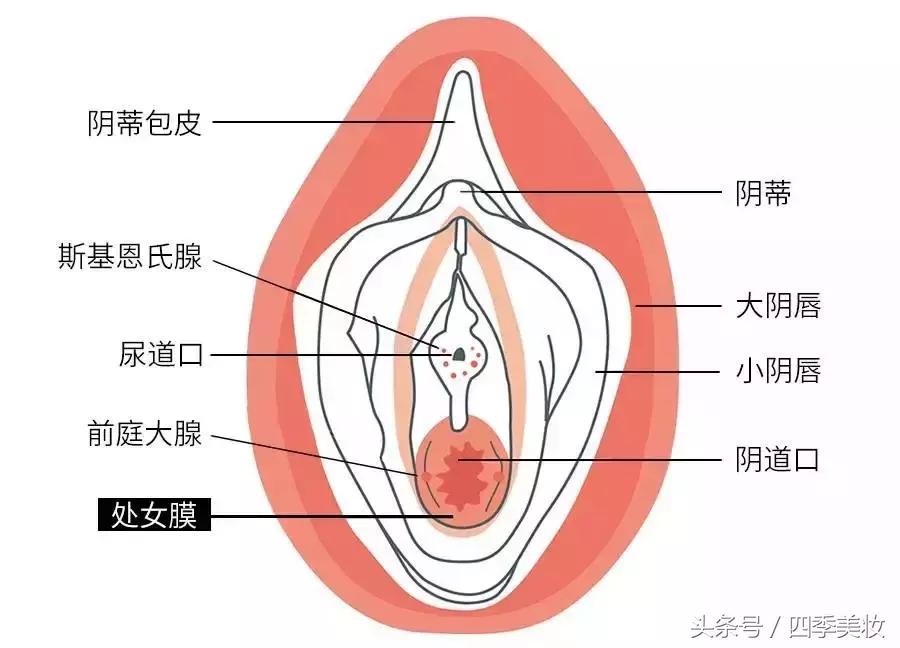 关于卫生棉条你不知道的9件事,卫生棉条的好处和使用方法