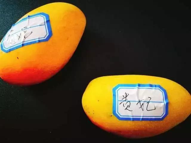 蔷薇水果店~“品控达人”的福音！