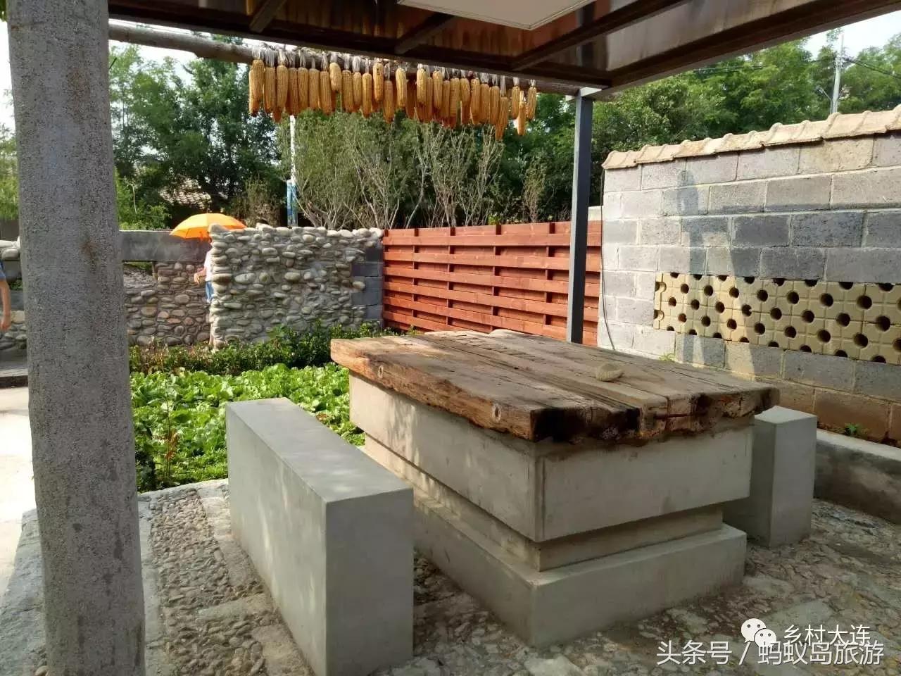 蚂蚁岛一日游,蚂蚁岛半日游