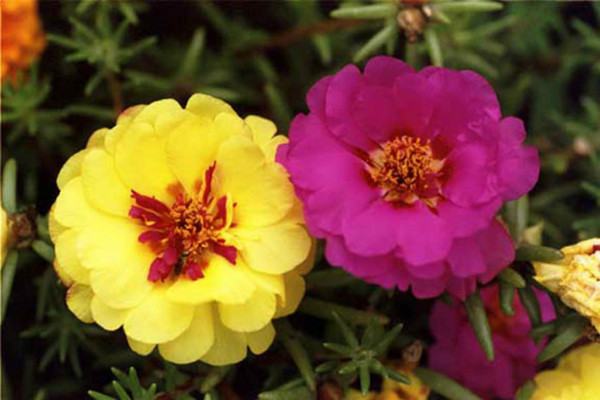 好听的句子唯美短句,好听的句子唯美短句学生