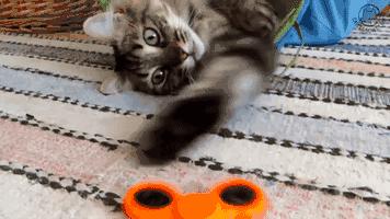 编辑部指尖陀螺挑战赛，她们到底能坚持几秒？