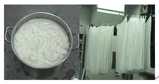 乌桕咋染色,植物染diy