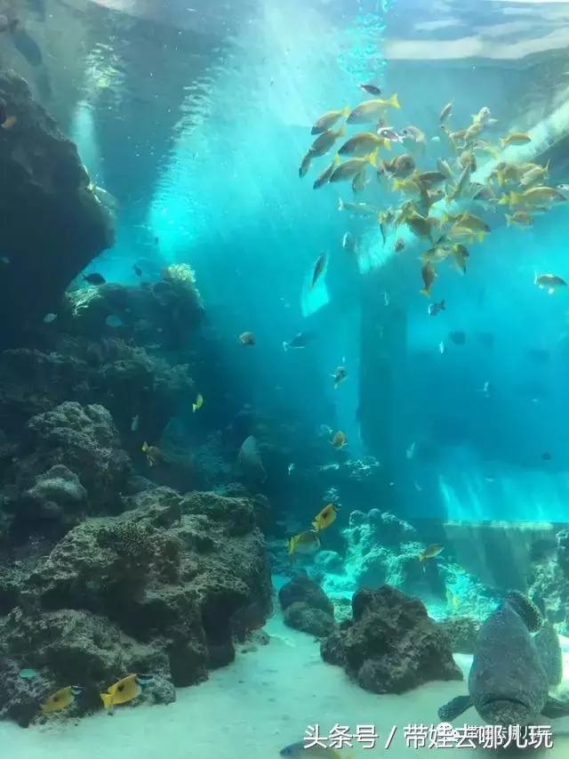 冲绳亲子游最强攻略,冲绳带娃旅游攻略