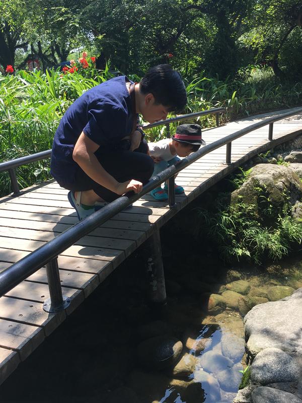 去桂林如何最省钱的玩,一家三口自己去桂林旅游