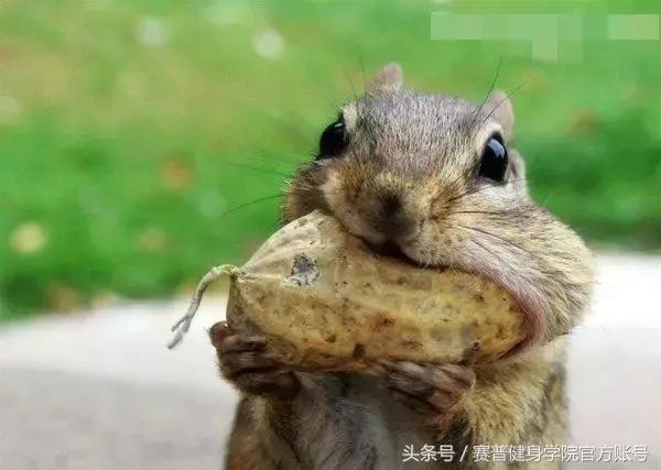吃增肌粉的好处与副作用,吃增肌粉对身体有危害吗