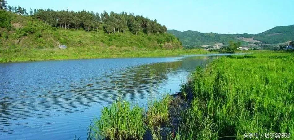 哈尔滨尚志未来5年规划,哈尔滨尚志最新规划