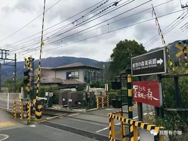 90后男生创业甜品店，2年打造为重庆美女最爱晒朋友圈的聚会场所，电影明星和日本人来偷偷品尝