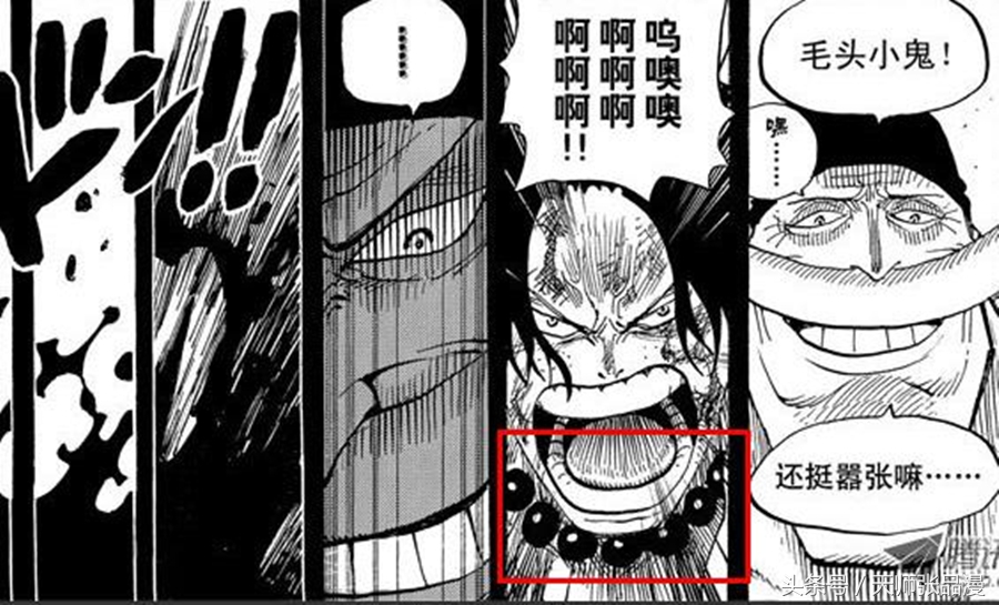 海贼王国风艾斯帽子,海贼王艾斯体术好不好