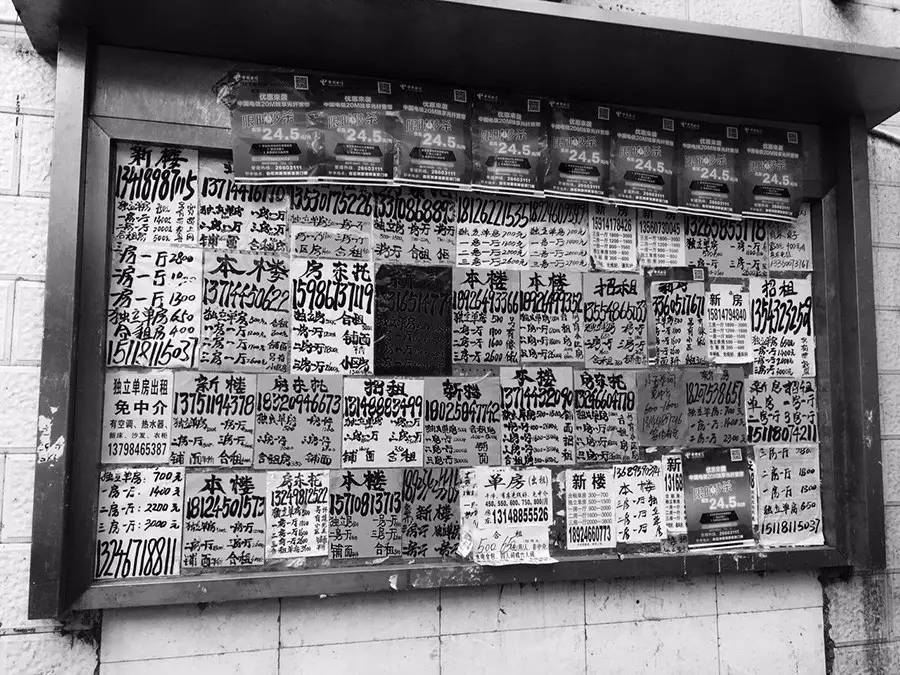 深圳最大的城中村白石洲村,深圳最大城中村之一的白石洲