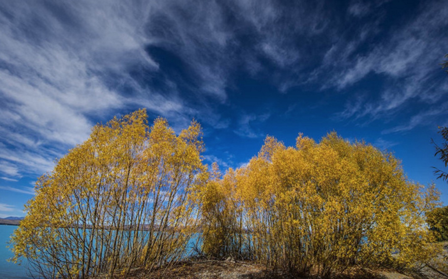 新西兰南岛的冬天,新西兰南岛秋天最佳时间