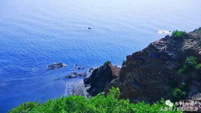 蚂蚁岛一日游,蚂蚁岛半日游