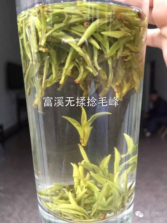 30种茶叶名字,比较受欢迎的茶叶种类详细介绍