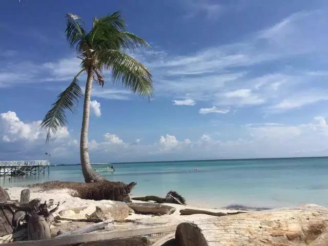 3000元海岛游,3000元买个岛