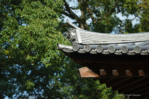 日本九州篇福冈,日本九州7天旅游攻略推荐