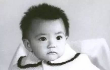 高圆圆被吐槽完整,高圆圆被吐槽